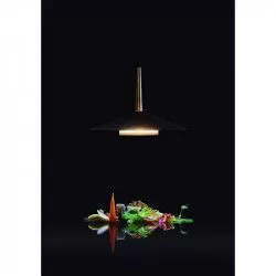 LÁMPARA COLGANTE ORION LED 8W NEGRO - Colgantes - 1