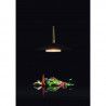 LÁMPARA COLGANTE ORION LED 8W NEGRO - Colgantes - 1