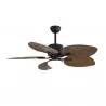VENTILADOR DC 24W COLLA NEGRO 5 ASPAS MARRON - Ventiladores - 1