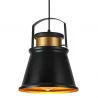 COLGANTE PELICANO 1XE27 NEGRO/ORO REGX25D - Colgantes - 2