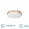 Plafon Riad 36w 3000-4000-6000k Oro - Plafones - 1