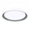 Plafon Luanda 96w 3000-4000-6000k Gris Red.7x49,5d   10800lm Reg.intens. C.remoto C/memoria - Ceiling Lights - 3