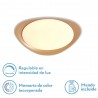 Plafon 72w Daire Oro 3000-4000-6500k 5616lm  7x55x55cm Remoto+reg.int+memoria - Plafones - 2