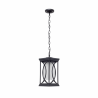 COLGANTE PEQ. EXTERIOR GARDEN 1XE27 PLATA O NEGRO REGX13X13 CM - Exterior de techo - 3